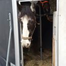 WhatsApp Image 2017-03-22 at 21.39.16.jpeg