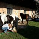 WhatsApp Image 2017-03-22 at 21.39.10.jpeg