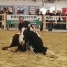 WhatsApp Image 2017-03-22 at 21.42.06.jpeg