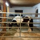 WhatsApp Image 2017-03-22 at 21.39.14.jpeg